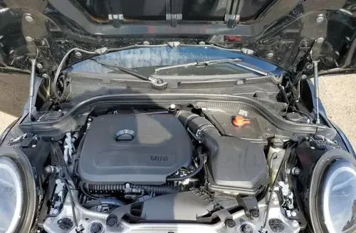 MINI 2025 