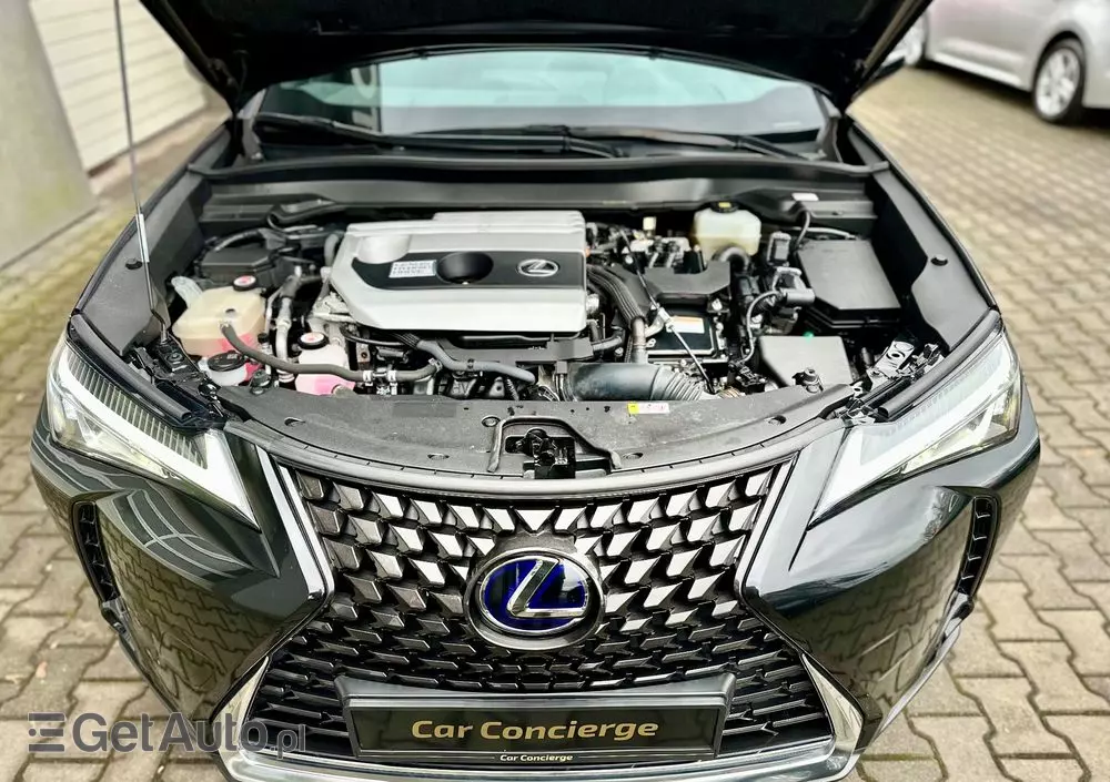 LEXUS UX 250h Business Edition