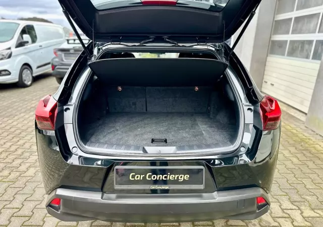 LEXUS UX 250h Business Edition