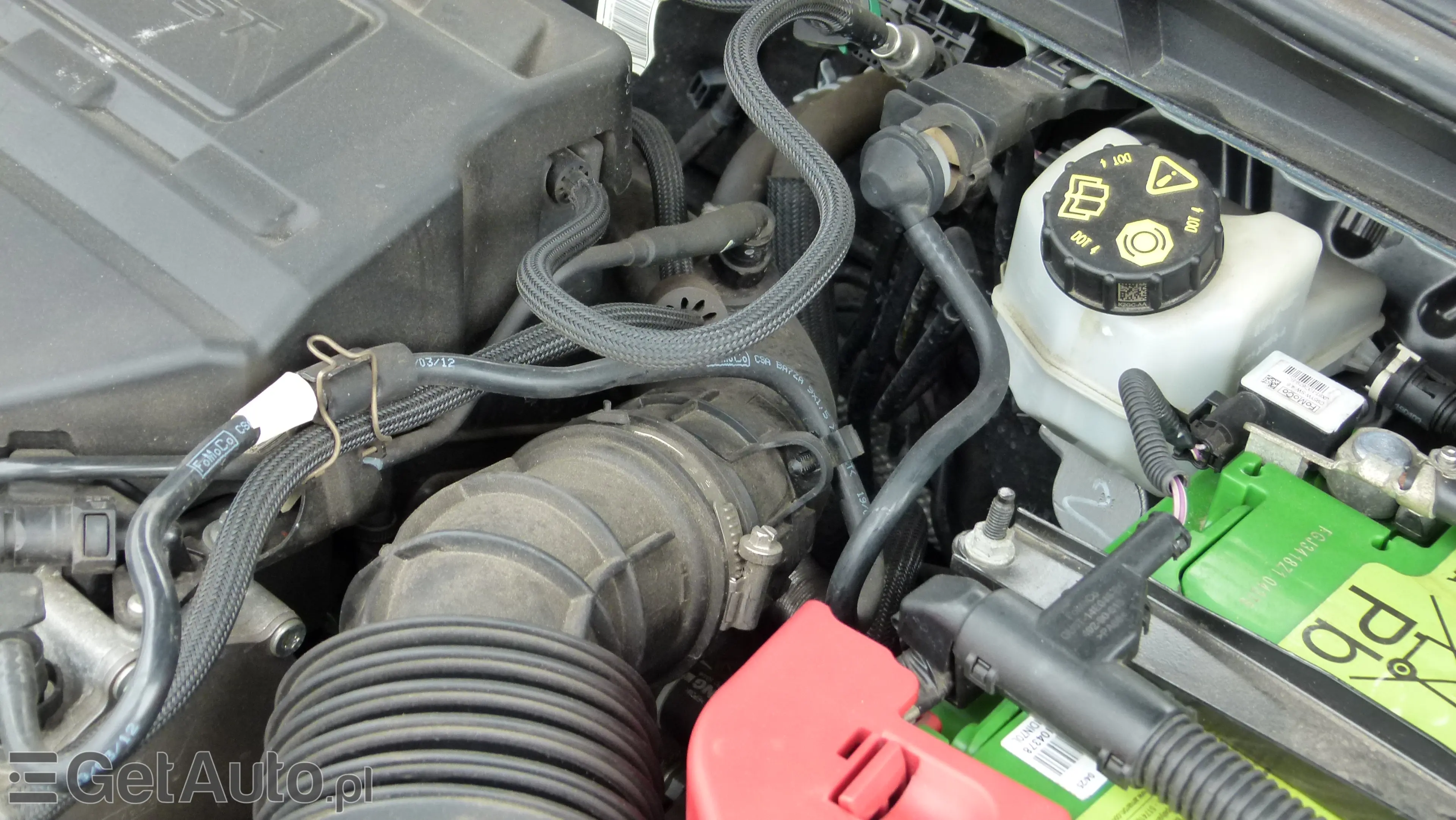 FORD Focus Active Business