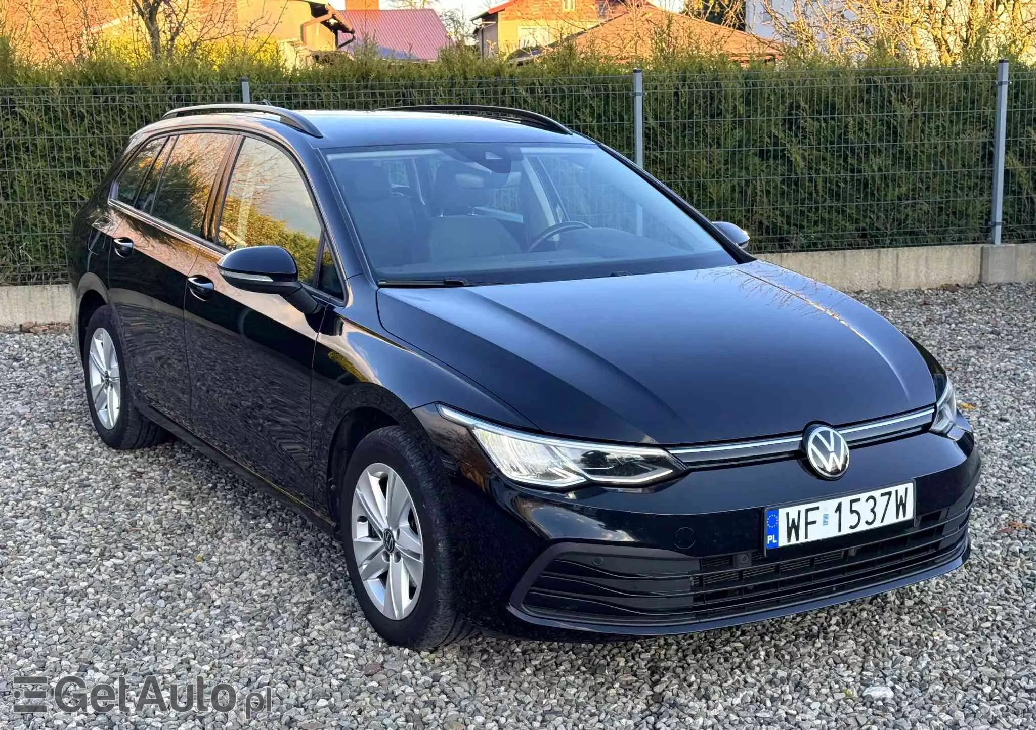 VOLKSWAGEN Golf VIII 1.5 TSI EVO Life