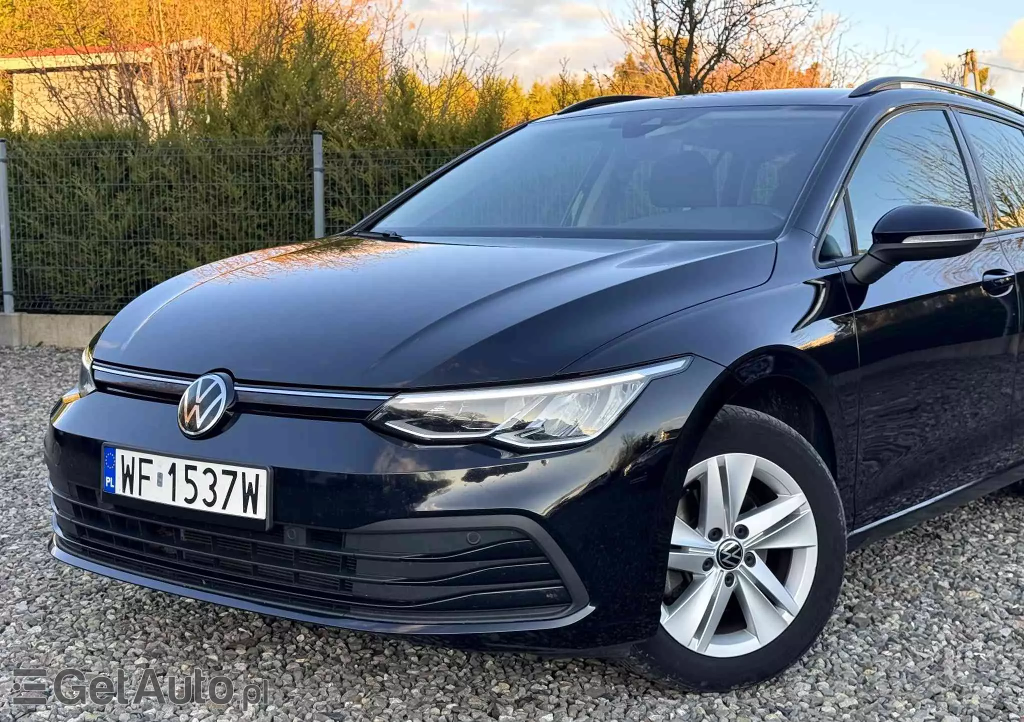 VOLKSWAGEN Golf VIII 1.5 TSI EVO Life