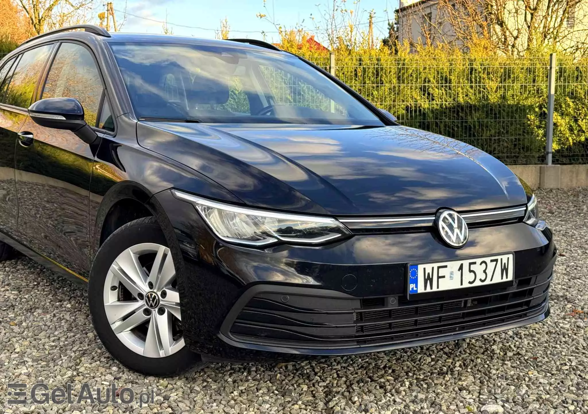 VOLKSWAGEN Golf VIII 1.5 TSI EVO Life
