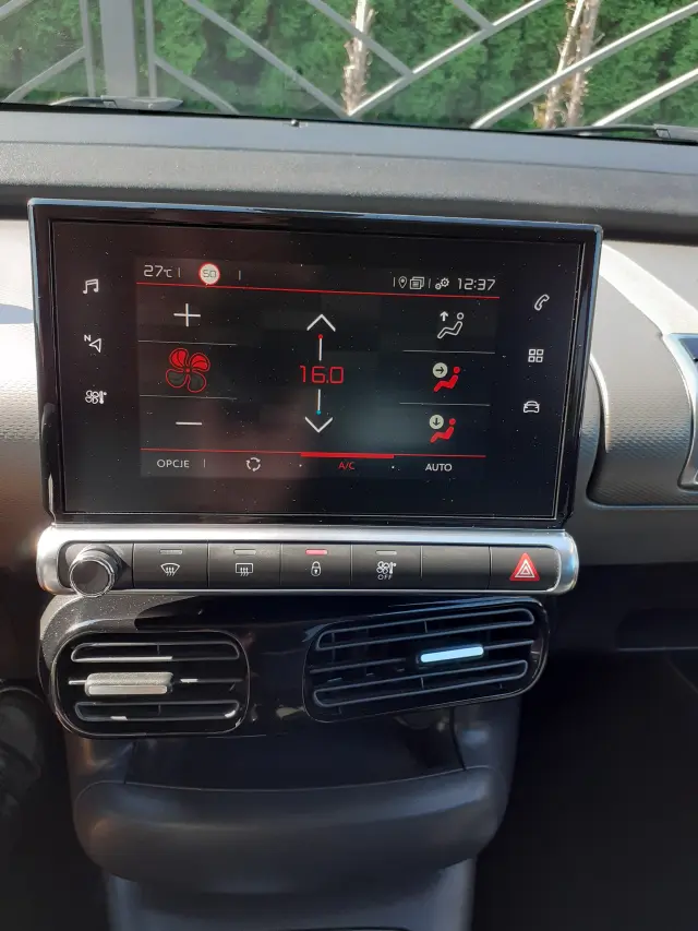 CITROËN C4 Cactus Shine Pack