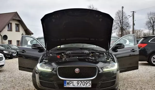 JAGUAR Xe 