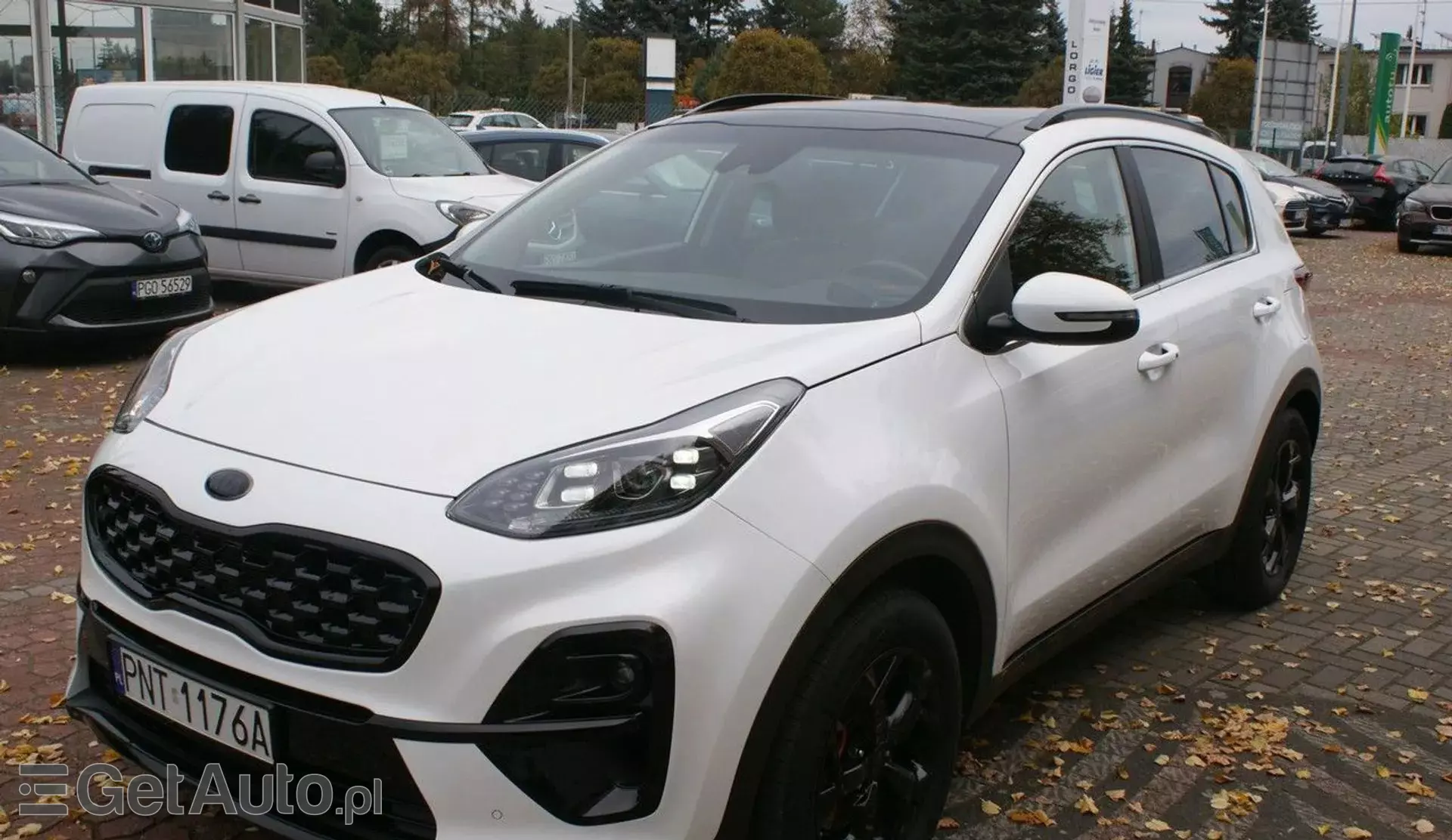 KIA Sportage 