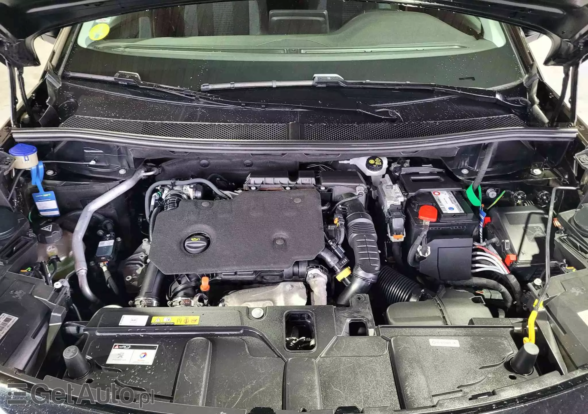 PEUGEOT 3008 1.5 BlueHDi Active S&S EAT8