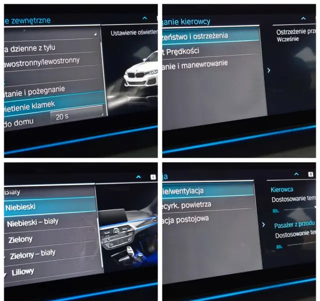 BMW Seria 5 530e M Sport sport