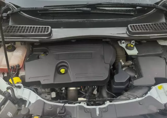 FORD Kuga 2.0 TDCi 4WD Titanium Plus