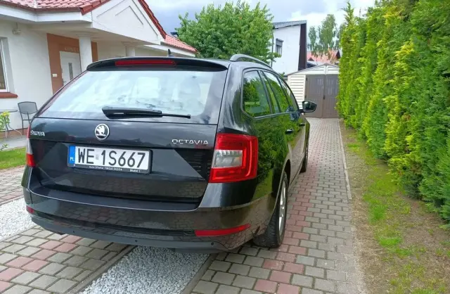 SKODA Octavia 
