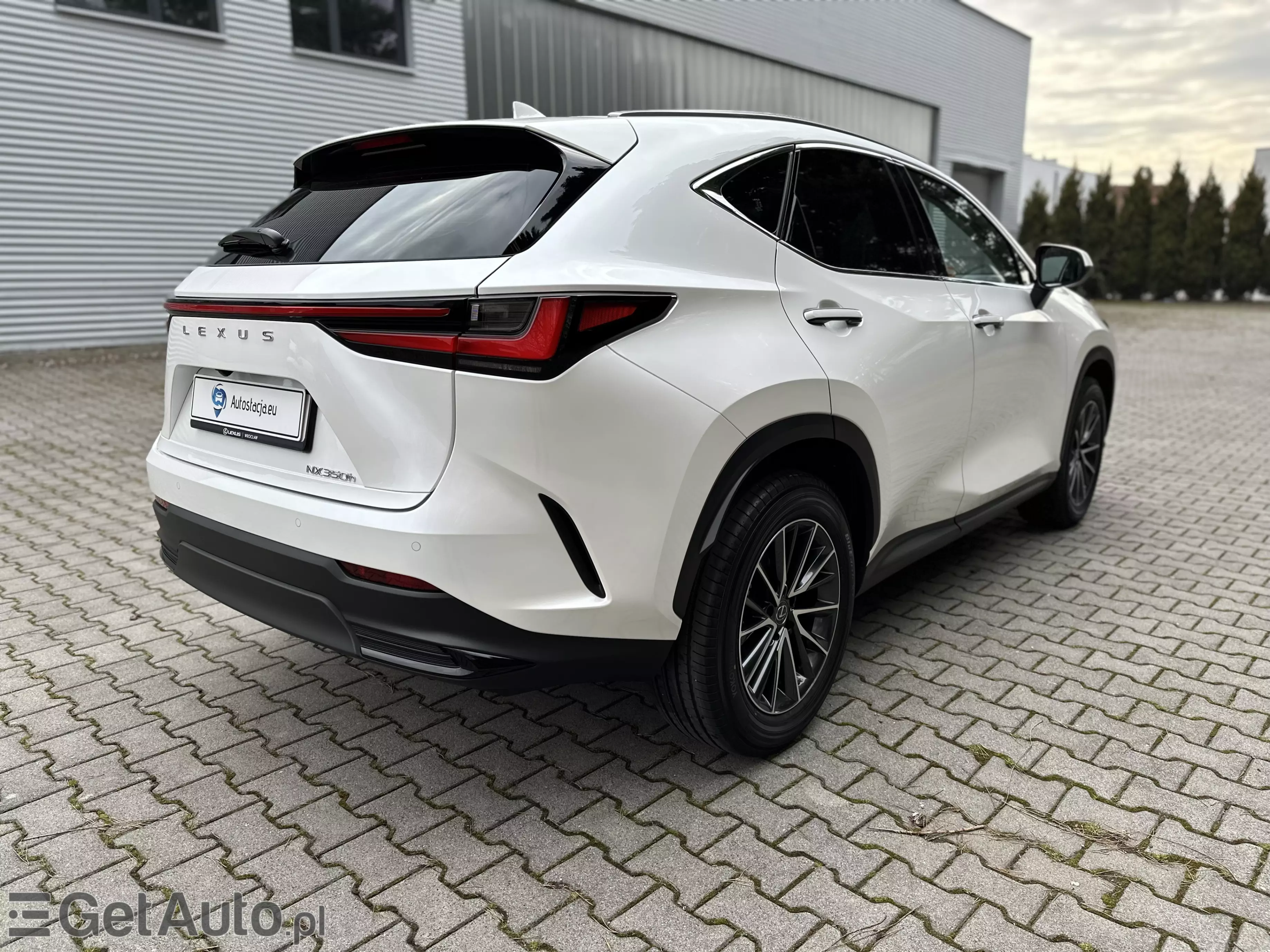 LEXUS NX Business CVT