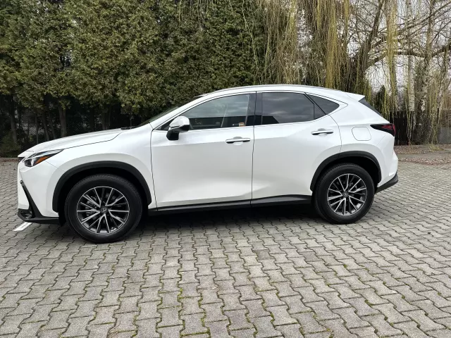LEXUS NX Business CVT
