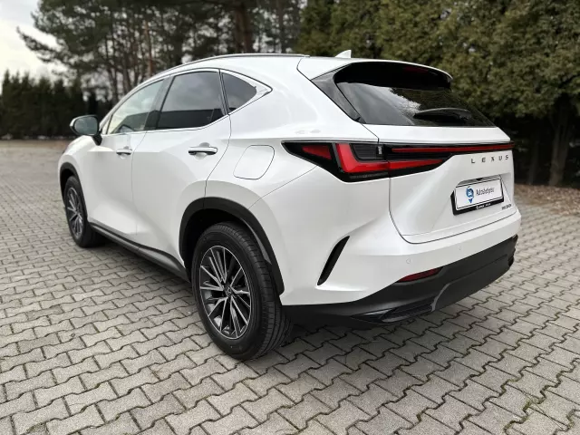 LEXUS NX Business CVT