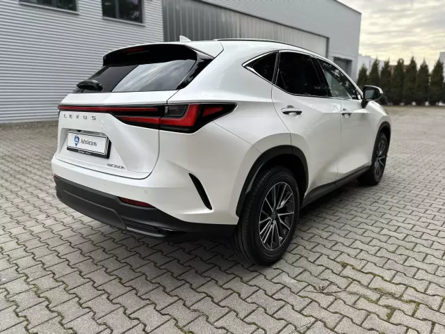 LEXUS NX Business CVT