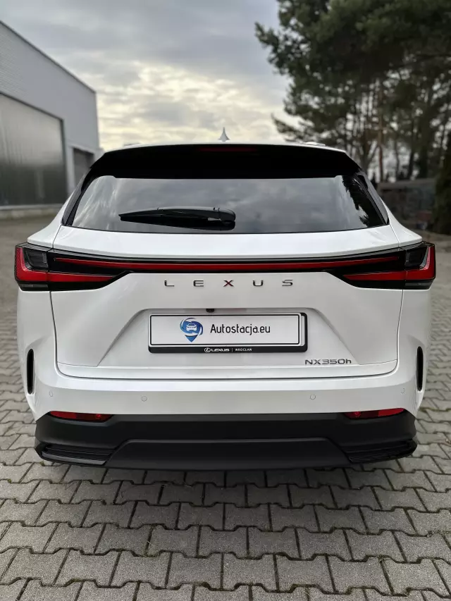 LEXUS NX Business CVT