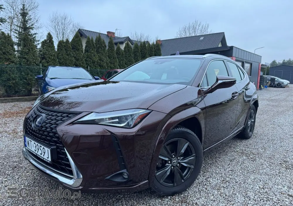 LEXUS UX 250h Elegance 2WD