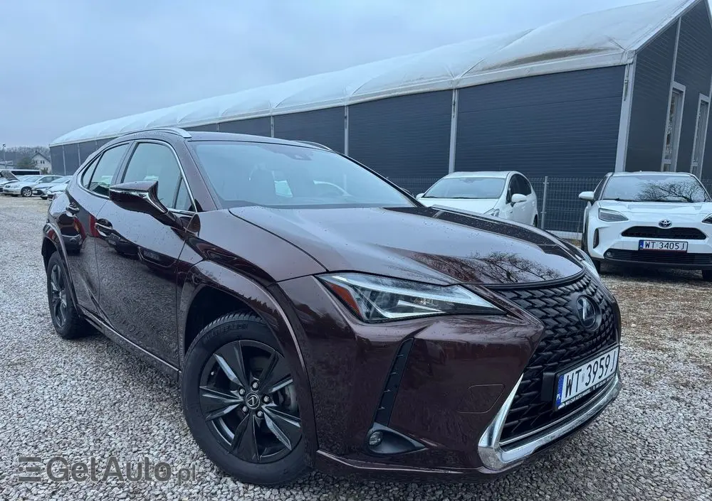LEXUS UX 250h Elegance 2WD