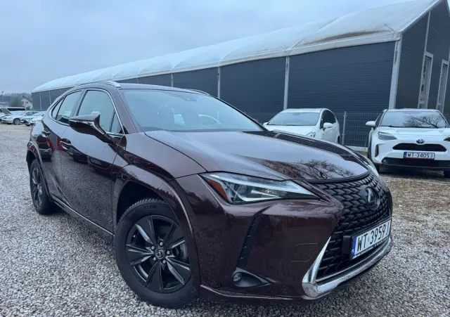 LEXUS UX 250h Elegance 2WD