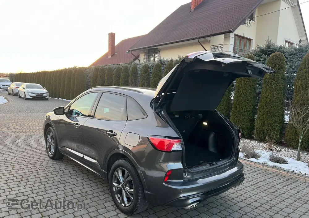 FORD Kuga 2.0 EcoBlue AWD ST-Line