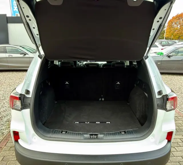 FORD Kuga 2.0 EcoBlue 4x4 TITANIUM
