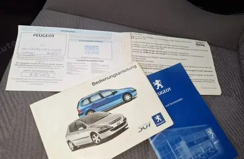 PEUGEOT 307 