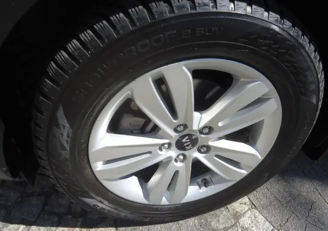 KIA Sportage 1.6 T-GDI Business Line 4WD DCT