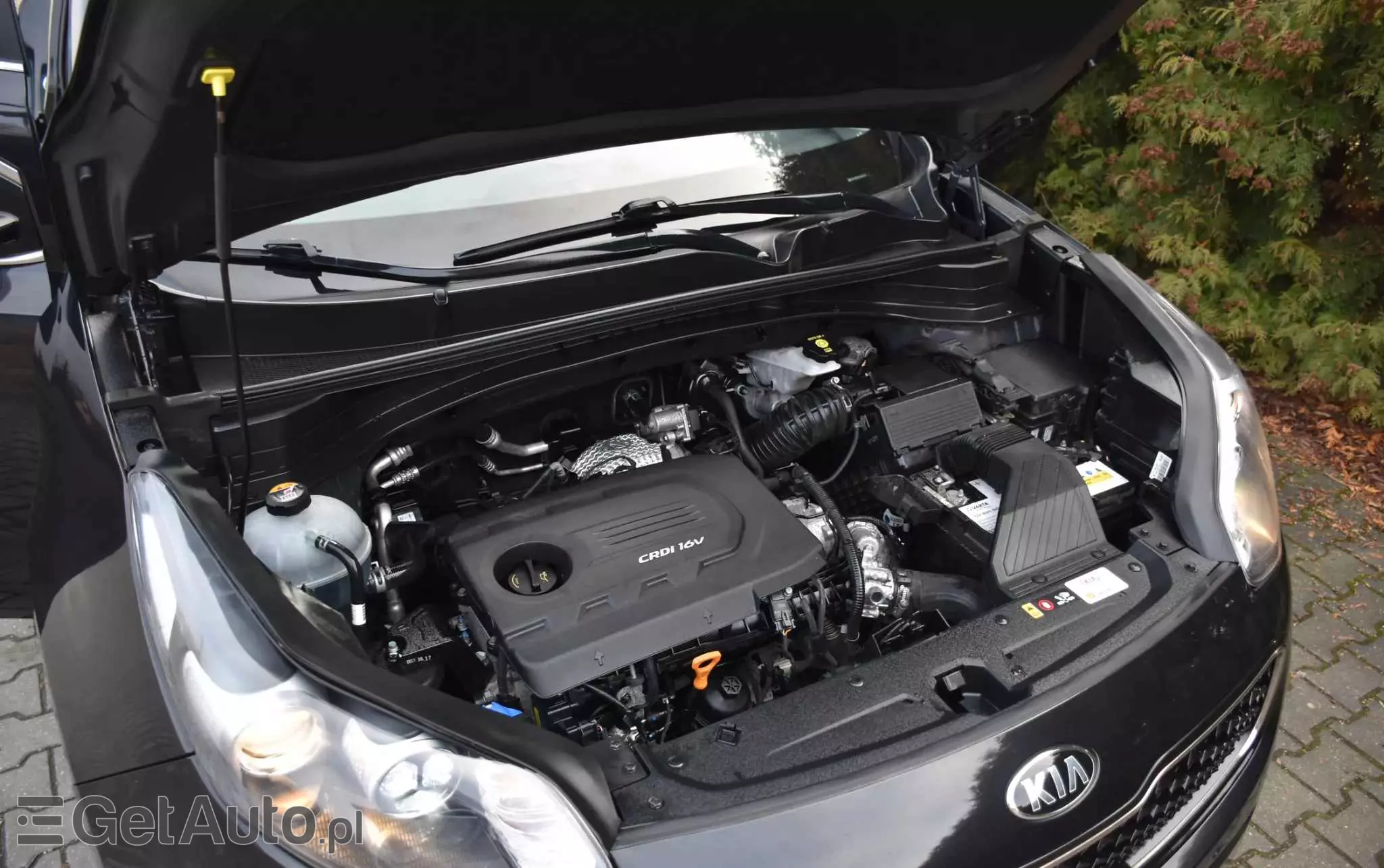 KIA Sportage 1.7 CRDI Business Line 2WD