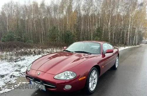 JAGUAR XK 