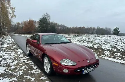 JAGUAR XK 