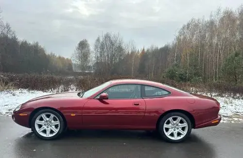 JAGUAR XK 