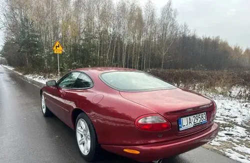 JAGUAR XK 