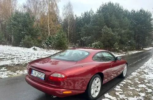 JAGUAR XK 