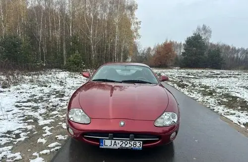 JAGUAR XK 