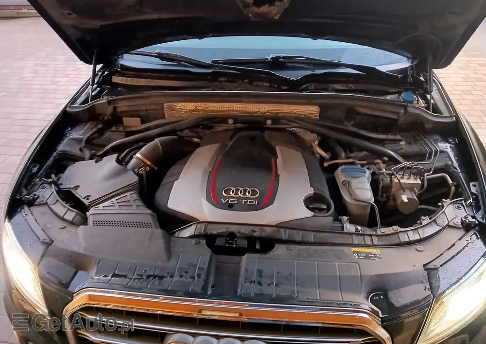 AUDI SQ5 3.0 TDI Quattro Tiptronic EU6