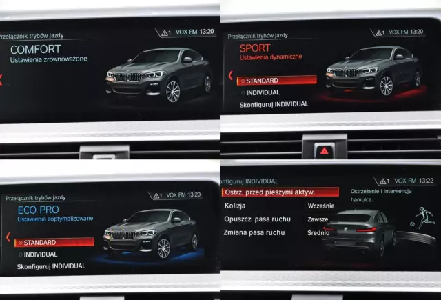 BMW X4 XDrive20d M Sport