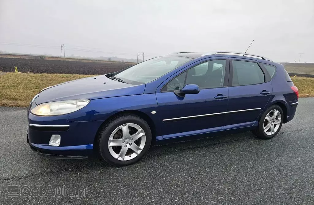 PEUGEOT 407 
