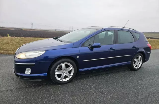 PEUGEOT 407 