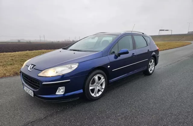 PEUGEOT 407 