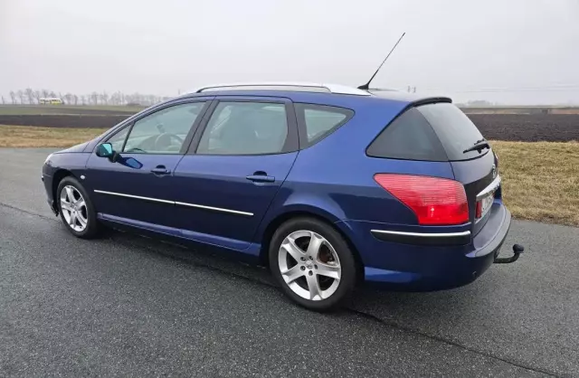 PEUGEOT 407 