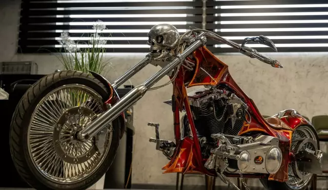 HARLEY DAVIDSON Custom 