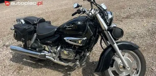 HYOSUNG Gv 