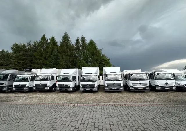IVECO DAILY 35S14,35S15,35S16,35S17, IZOTERMA 7 Euro palet KILKA SZTUK 