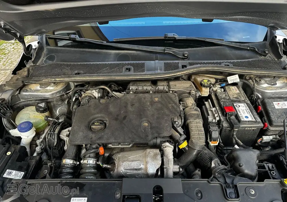 OPEL Corsa 1.5 D Elegance Business Pack S&S