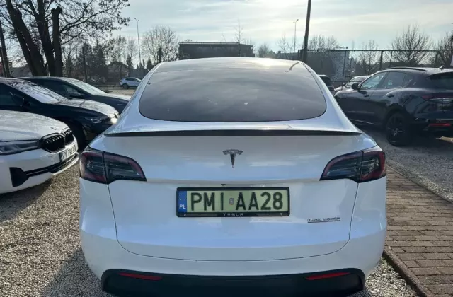 TESLA Y 
