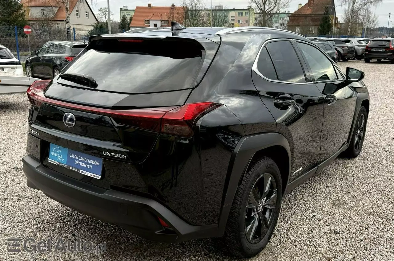 LEXUS UX 250h Luxury Line