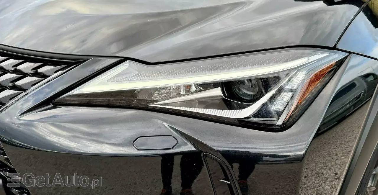 LEXUS UX 250h Luxury Line