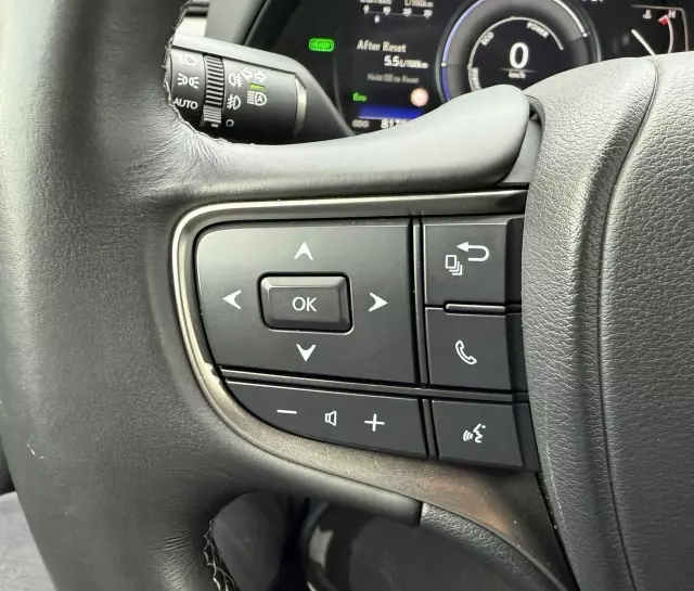 LEXUS UX 250h Luxury Line