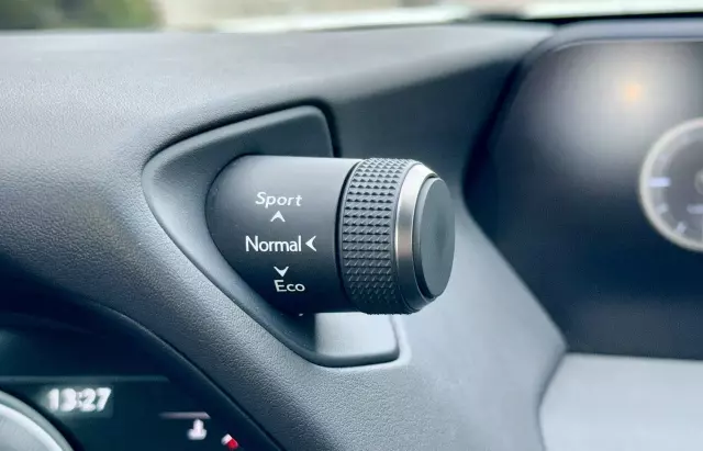 LEXUS UX 250h Luxury Line