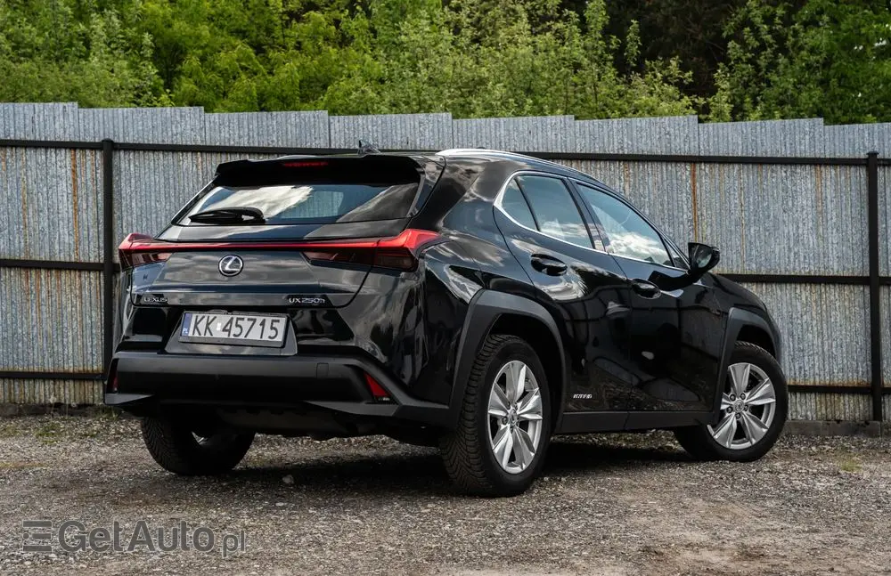 LEXUS UX 250h Business Edition