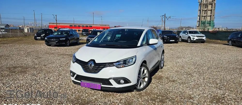 RENAULT Scenic BLUE dCi 120 EDC BUSINESS EDITION